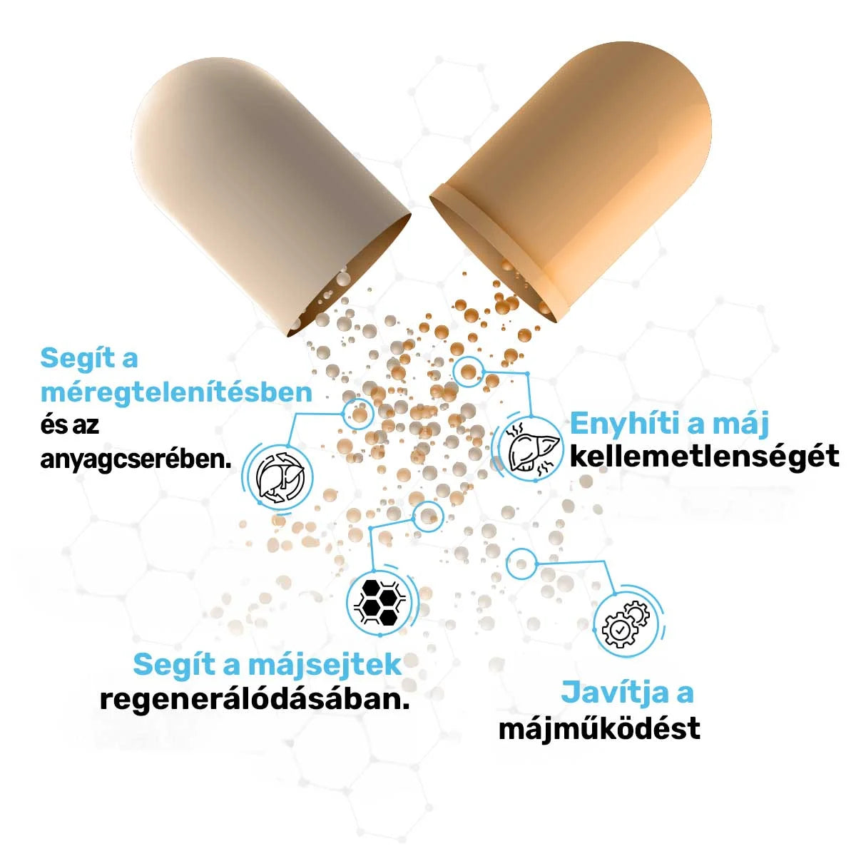 A regeneráló Liver Cleanse