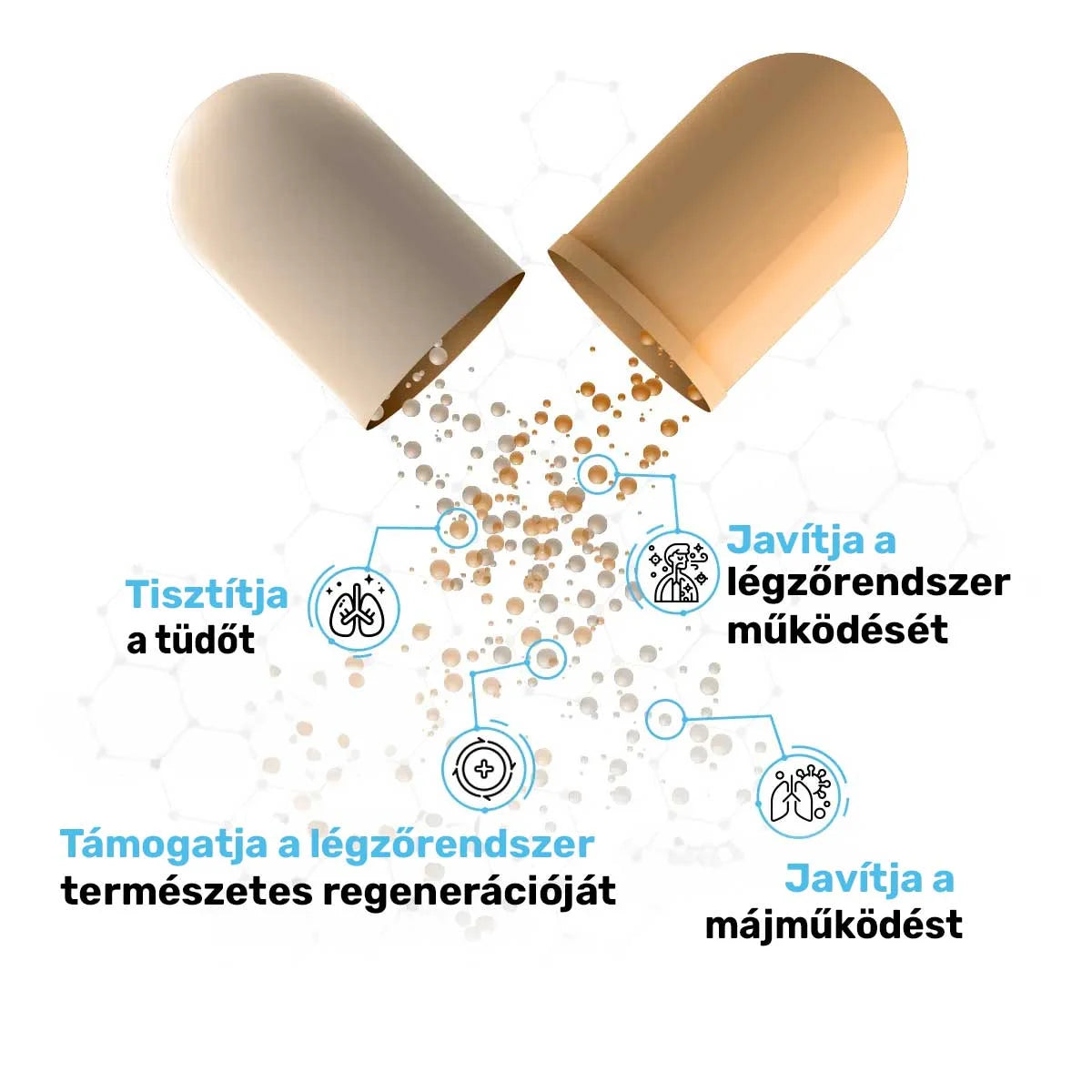 A Lungs Health Tisztító
