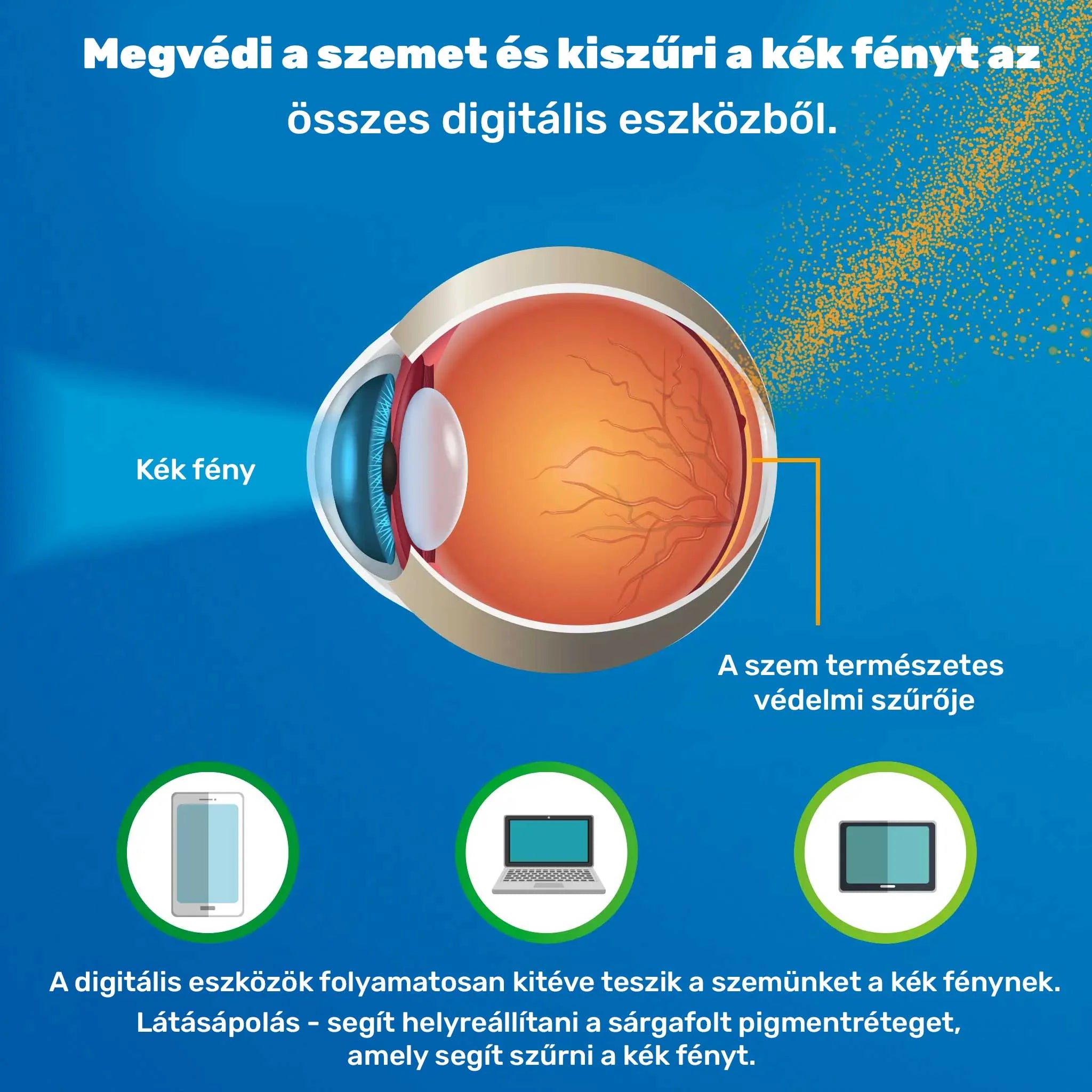 Tökéletes látás a Vision Care segítségével